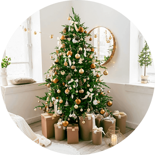 Merry Christmas Cards